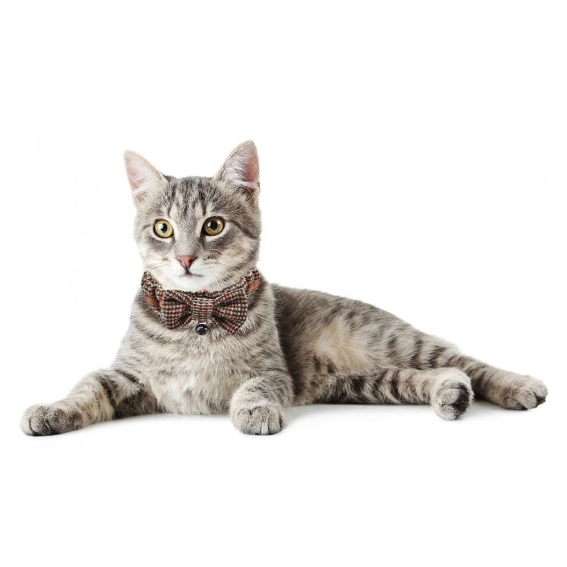 Catspia | Nœud Papillon Chiné Pour Petit Chien Et Chat 5 Catspia | Nœud Papillon Chiné Pour Petit Chien Et Chat – Image 3