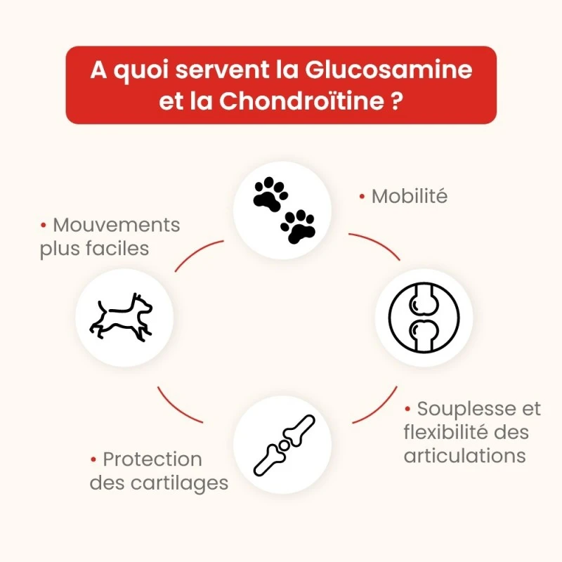 Chiens Et Chats | Glucosamine Chondroïtine En Gélules - Confort Articulaire - Protection Des Cartilages 5 Chiens Et Chats | Glucosamine Chondroïtine En Gélules - Confort Articulaire - Protection Des Cartilages – Image 3