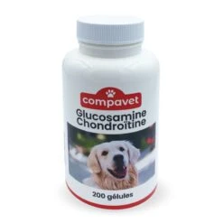 Chiens Et Chats | Glucosamine Chondroïtine En Gélules - Confort Articulaire - Protection Des Cartilages