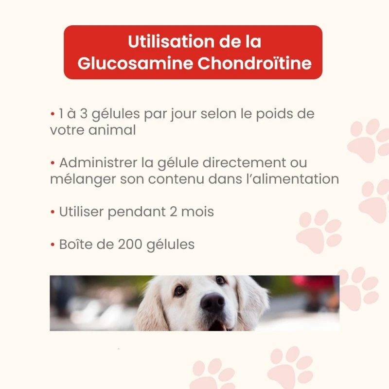 Chiens Et Chats | Glucosamine Chondroïtine En Gélules - Confort Articulaire - Protection Des Cartilages 6 Chiens Et Chats | Glucosamine Chondroïtine En Gélules - Confort Articulaire - Protection Des Cartilages – Image 4