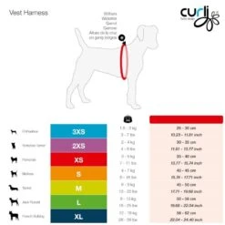 Curli | Chien | Harnais Curli Vest Air-Mesh + Laisse Basic Rose à Carreaux -Fournitures Pour Chiens curli chien harnais curli vest air mesh laisse basic rose a carreaux 1