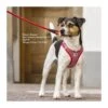 Curli | Chien | Harnais Veste Curli Confort Mérino En Laine -Fournitures Pour Chiens curli chien harnais veste curli confort merino en laine
