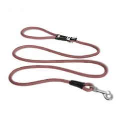 Curli | Chien | Laisses En Néoprène Edition Limitée 2021