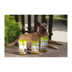 DaDo | Chien Adulte Moyenne Race | Croquette Agn/Riz/PdT 7 DaDo | Chien Adulte Moyenne Race | Croquette Agn/Riz/PdT -Fournitures Pour Chiens dado chien adulte moyenne race croquette agnrizpdt 1