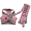 Doggy Dolly | Ensemble Harnais Veste Pour Chien Et Laisse à Rayures 1 Doggy Dolly | Ensemble Harnais Veste Pour Chien Et Laisse à Rayures -Fournitures Pour Chiens doggy dolly ensemble harnais veste pour chien et laisse a rayures