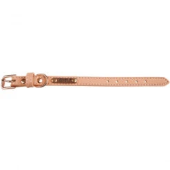 Doogy | Chien | Collier Simili Summer Rose