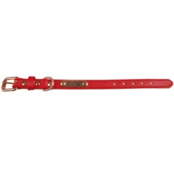 Doogy | Chien | Collier Simili Summer Rouge