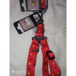 Doogy | Chien | Ensemble En Nylon Harnais Baudrier Avec Laisse Confort 7 Doogy | Chien | Ensemble En Nylon Harnais Baudrier Avec Laisse Confort -Fournitures Pour Chiens doogy chien ensemble en nylon harnais baudrier avec laisse confort 2