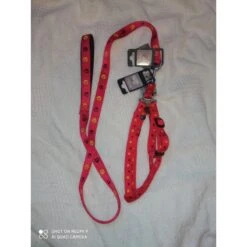 Doogy | Chien | Ensemble En Nylon Harnais Baudrier Avec Laisse Confort