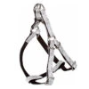 Doogy | Chien | Harnais Avec Laisse Envy Forever Doogy Glam 1 Doogy | Chien | Harnais Avec Laisse Envy Forever Doogy Glam -Fournitures Pour Chiens doogy chien harnais avec laisse envy forever doogy glam