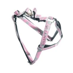 Doogy | Chien | Harnais Baudrier Envy Phantom