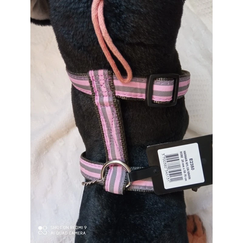 Doogy | Chien | Harnais Nylon Marin Rose 3 Doogy | Chien | Harnais Nylon Marin Rose