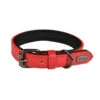 Doogy | Collier Pour Chien Simili Basics | Rouge -Fournitures Pour Chiens doogy collier pour chien simili basics rouge