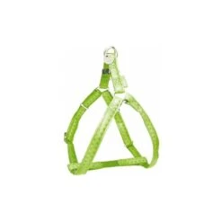 Doogy Mac Leather | Chien | Harnais Baudrier Réglable Pour Grand Chien Vert Anis