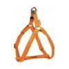 Doogy Mac Leather | Harnais Baudrier Réglable Pour Grand Chien | Orange Clair -Fournitures Pour Chiens doogy mac leather harnais baudrier reglable pour grand chien orange clair