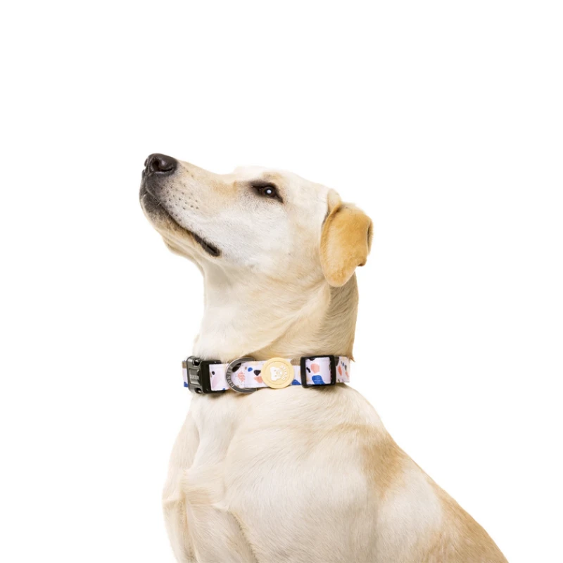 Dukier | Chien | Collier Terrazo 4 Dukier | Chien | Collier Terrazo – Image 2