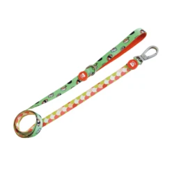 Dukier | Chien | Laisse Nigiri