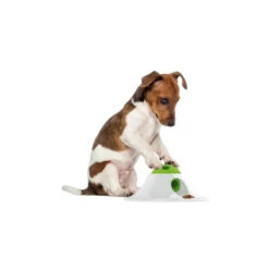 Duvoplus | Chien Et Chat | Spin'N Snack Puzzle 11 Duvoplus | Chien Et Chat | Spin'N Snack Puzzle -Fournitures Pour Chiens duvoplus chien et chat spin n snack puzzle 4