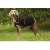 Equithème | Chien | Couverture Soft Shell -Fournitures Pour Chiens equitheme chien couverture soft shell