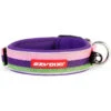 Ezydog | Collier Bubblegum Pour Chien -Fournitures Pour Chiens ezydog collier bubblegum pour chien