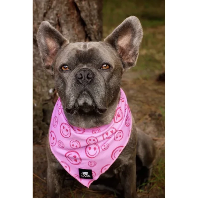 Fibi & Karl | Chien | Bandana Rose Smile 4 Fibi & Karl | Chien | Bandana Rose Smile – Image 2