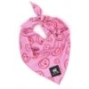 Fibi & Karl | Chien | Bandana Rose Smile