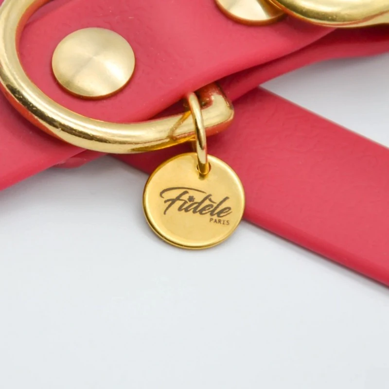 Fidèle Paris | Chien | Collier L'aventurier | Bordeaux 4 Fidèle Paris | Chien | Collier L'aventurier | Bordeaux – Image 2