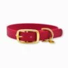 Fidèle Paris | Chien | Collier L'aventurier | Bordeaux