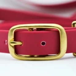 Fidèle Paris | Chien | Collier L'aventurier | Bordeaux 7 Fidèle Paris | Chien | Collier L'aventurier | Bordeaux -Fournitures Pour Chiens fidele paris chien collier l aventurier bordeaux 2