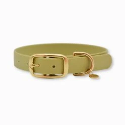 Fidèle Paris | Chien | Collier L'aventurier Tilleul