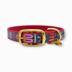 Fidèle Paris | Chien | Collier L'explorateur Bordeaux