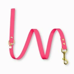 Fidèle Paris | Chien | Laisse L'aventurier Rose Fluo