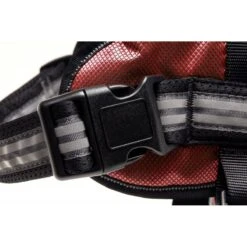 Flamingo | Chien | Harnais Adventure Rouge -Fournitures Pour Chiens flamingo chien harnais adventure rouge 6