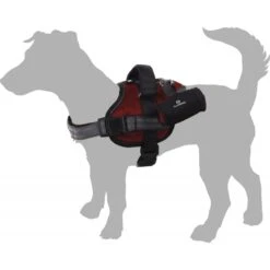 Flamingo | Chien | Harnais Adventure Rouge -Fournitures Pour Chiens flamingo chien harnais adventure rouge 7