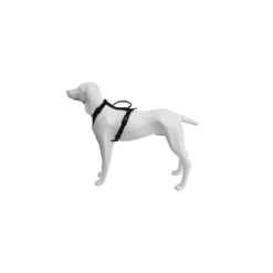 Freedog | Harnais Chien Extrême En Nylon Et Néoprène | Noir