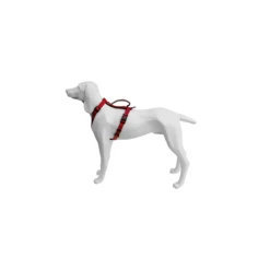 Freedog | Harnais Chien Extrême En Nylon Et Néoprène | Rouge