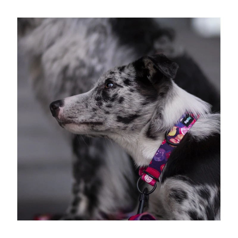 Hop Dog | Collier Pour Chien AQUARELLE 5 Hop Dog | Collier Pour Chien AQUARELLE – Image 3