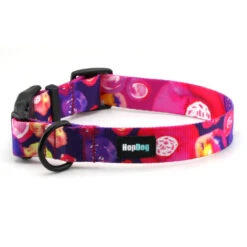 Hop Dog | Collier Pour Chien AQUARELLE