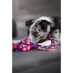 Hop Dog | Collier Pour Chien AQUARELLE 12 Hop Dog | Collier Pour Chien AQUARELLE -Fournitures Pour Chiens hop dog collier pour chien aquarelle 4