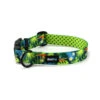 Hop Dog | Collier Pour Chien TROPIC TIME -Fournitures Pour Chiens hop dog collier pour chien tropic time