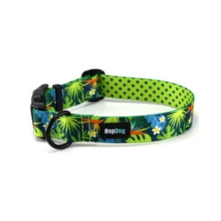 Hop Dog | Collier Pour Chien TROPIC TIME