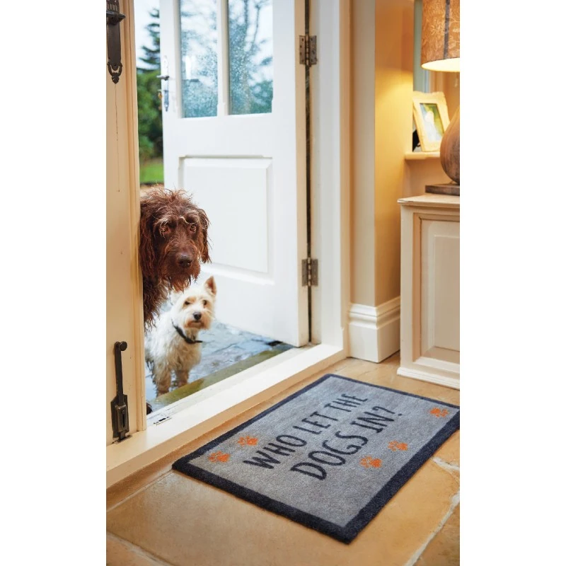 Howler & Scratch | Tapis D'entrée Qui A Laissé Rentré Le Chien ? 4 Howler & Scratch | Tapis D'entrée Qui A Laissé Rentré Le Chien ? – Image 2