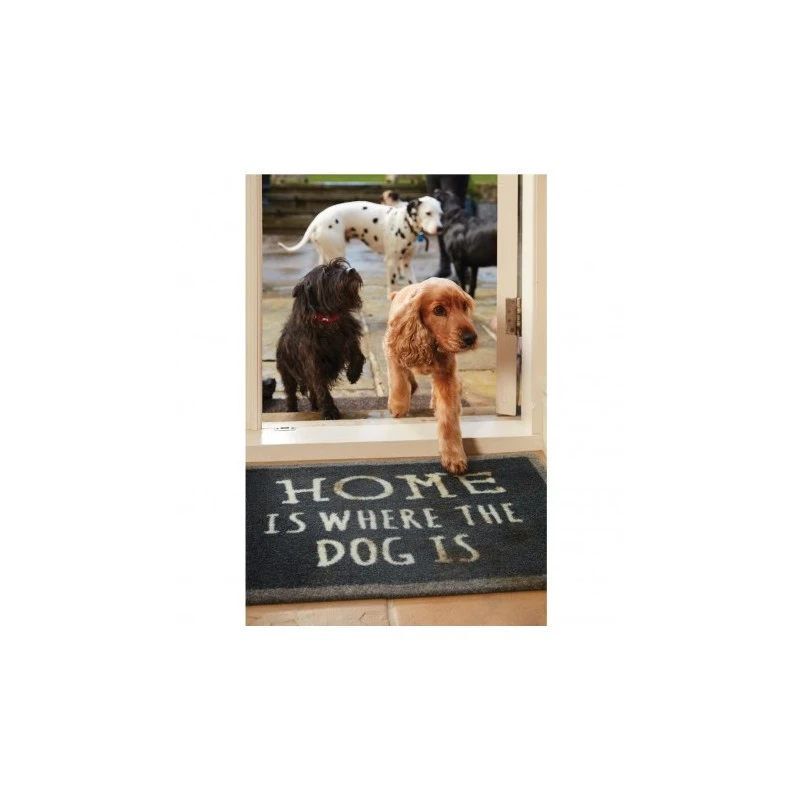 Howler & Scratch | Tapis HOME DOG Gris 5 Howler & Scratch | Tapis HOME DOG Gris – Image 3