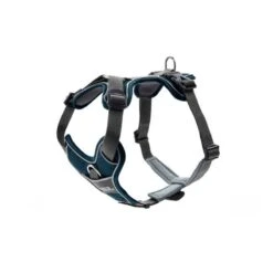 Hunter | Harnais Divo Ultra-confort Pour Grands Chiens 9 Hunter | Harnais Divo Ultra-confort Pour Grands Chiens -Fournitures Pour Chiens hunter harnais divo ultra confort pour grands chiens 2
