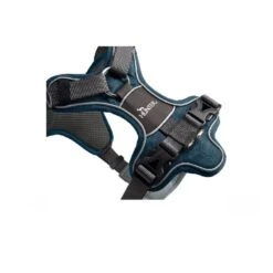 Hunter | Harnais Divo Ultra-confort Pour Grands Chiens
