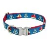 Image Cap Dog | Collier Pour Chien | Bleu Avec Motifs Voiliers Et Ancres