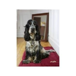 Inooko | Chien Et Chat | Plaid Tout Doux | Bordeaux 7 Inooko | Chien Et Chat | Plaid Tout Doux | Bordeaux -Fournitures Pour Chiens inooko chien et chat plaid tout doux bordeaux 1