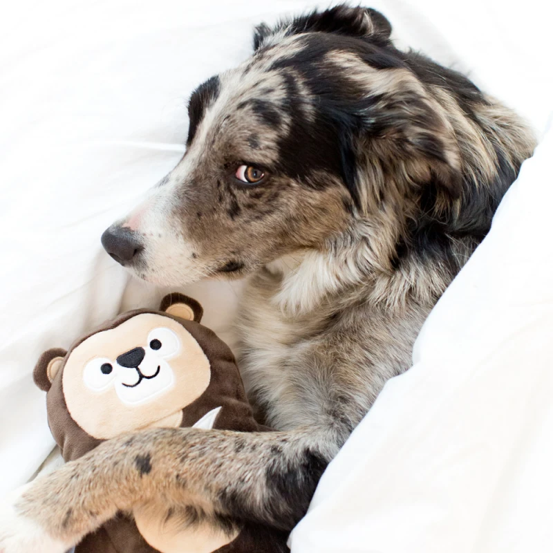 Inooko | Chien | Peluche Max L'ours 5 Inooko | Chien | Peluche Max L'ours – Image 3