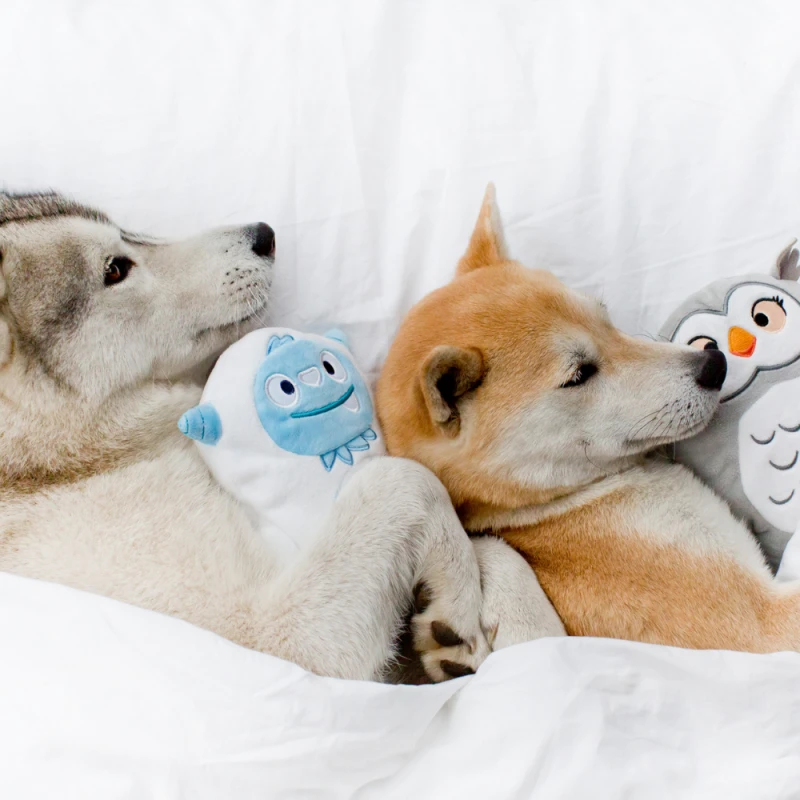 Inooko | Chien | Peluche Ollie Le Yéti 5 Inooko | Chien | Peluche Ollie Le Yéti – Image 3