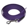 Jokidog | Chien | Longe Biothane Beta 13 Mm Sans Poignée - Violet 1 Jokidog | Chien | Longe Biothane Beta 13 Mm Sans Poignée - Violet -Fournitures Pour Chiens jokidog chien longe biothane beta 13 mm sans poignee violet